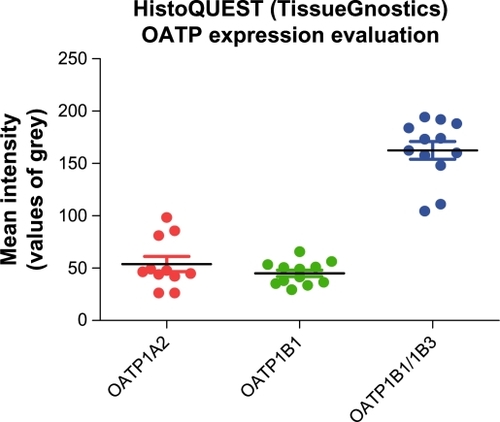 Figure 2 OATP immunohistochemical expression intensity as was assessed by HistoQUEST (TissueGnostics) automated immunohistochemistry analysis system. The Y-axis represents mean intensity measured in values of grey scale from 0 to 250.