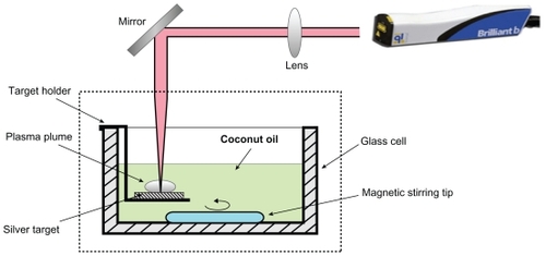 Figure 1 Schematic diagram of laser ablation experimental set up.