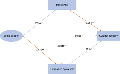 Figure 3 Standardized estimates of the pathways from social support to suicidal ideation in the model.