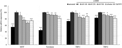 Figure 3. Effect of AH on mRNA expression of MITF, tyrosinase, TRP-1 and TRP-2.Total RNAs extracted from B16 melanoma cells treated with AH for 24h were subjected to qRT-PCR. The mRNA expression levels of MITF, tyrosinase, TRP-1 and TRP-2 were evaluated relative to the levels of GAPDH. The mRNA expression levels in cells stimulated with α-MSH were considered as 100%. Values represent the mean ± S.D. of three independent measurements. *: p < 0.05, **: p < 0.01, ***: p < 0.001.