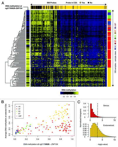 Figure 2. Methylation at the ZNF154 promoter is correlated with widespread methylation of CpG islands in endometrioid tumors. (A) Hierarchical clustering of all our ovarian and endometrial cancer samples using the 500 probes with the highest variance in methylation, selected as in Kolbe et al.Citation25 The heat map shows levels of methylation as β values associated with each pair of probe (columns) and sample (rows). Top horizontal color bar shows which of the probes are located within CpG islands. The vertical color bar on the left shows the level of methylation at cg21790626-ZNF154 for each individual sample. The vertical color bar on the right shows the sample class, including serous controls (SC), serous tumors (ST), endometrioid controls (EC), endometrioid tumors (ET) and papillary serous tumors of low malignant potential (LMP). (B) DNA methylation at cg21790626-ZNF154 vs. average DNA methylation at the set of 380 probes from the top panel that are located within CpG islands. Each point in the plot corresponds to an individual sample. (C) Distribution of P values for Spearman correlation coefficients between DNA methylation at cg21790626-ZNF154 and average methylation at sets of 380 probes that were randomly selected in CpG islands across the entire genome. Each of the two histograms shows results for one million random choices of probe sets.