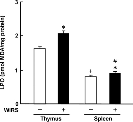 Figure 5. Effect of WIRS on LPO concentration in the thymus and spleen of rats. Each value is a mean ± SD (n = 5 for rats without WIRS; n = 8 for rats with WIRS). *Significantly different from rats without WIRS (P < 0.05). +Significantly different from the thymus of rats without WIRS (P < 0.05). #Significantly different from the thymus of rats with WIRS (P < 0.05).