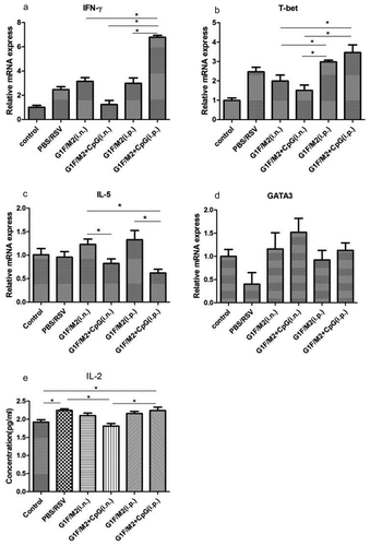 Figure 6. Lung Th1/Th2-type responses after RSV challenge. Mice were immunized as described in Section 4 . Three weeks after the final immunization, mice were challenged i.n. with 105 TCID50/100 µl RSV-A. Five days after post-challenge, lungs were removed. The transcription factors and cytokines in lungs were measured by qRT-PCR or ELISA. Naïve mice neither immunized nor challenged were used as controls. The results are represented as the relative expression of (a) IFN-γ, (b) T-bet, (c) IL-5, (d) GATA3, and concentration of (e) IL-12. Results are mean ± SD of five or six mice. *P < 0.05 represents significant difference.