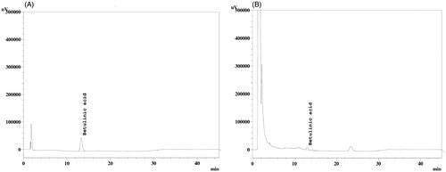 Figure 1. HPLC of APME. The HPLC chromatogram of betulinic acid (standard) (A) and in APME solution (B).