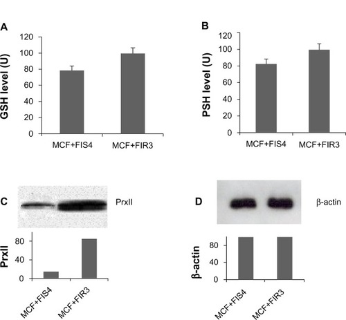 Figure 3 Glutathione (GSH) and protein thiol (PSH) levels in radioresistant breast-cancer cells and radiosensitive breast-cancer cells. (A) GSH levels in MCF+FIS4 sensitive cells and MCF+FIR3 resistant cells. (B) PSH levels in MCF+FIS4 sensitive cells and MCF+FIR3 resistant cells. (C) Immunoblot analysis of peroxiredoxin (Prx) II in MCF+FIS4 and MCF+FIR3 cells. (D) Immunoblot analysis of β-actin in MCF+FIS4 and MCF+FIR3 cells.