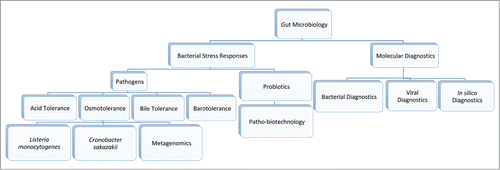 Figure 1. The main themes and sub-themes under investigation in the Sleator lab.