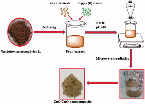 Scheme 1. The schematic diagram for preparation of the samples in the presence of V. arctostaphylos L. fruit extract.