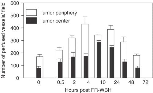 Figure 2. Time-dependent changes in functional vessel densities in CT26 tumor periphery and center following FR-WBH. The data demonstrate that pre-treatment with FR-WBH increases number of labeled vessels in both tumor periphery and center up to 48 hours post FR-WBH treatment. The highest functional vascular density in tumor periphery was reached at approximately 4 hours while that in tumor center peaked generally by 10 hours post-hyperthermia treatment. These data are representative of 3 separate experiments with 4 mice per group in each experiment. For each data point, we counted at least 25 randomly chosen fields per section at 5× magnification with at least 3 sections per tumor. Statistical significance (p < 0.05) was reached at all time points between 2 and 48 hours.