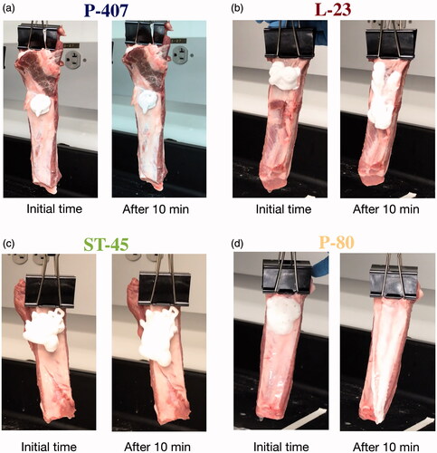 Figure 3. (a–d) Vertical flow tests on porcine ribs.