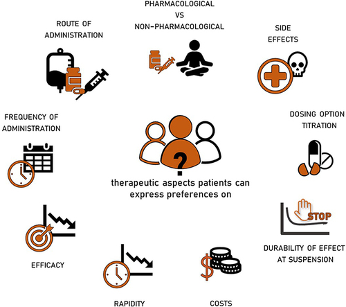 Figure 1 Therapy aspects that the patients can express preferences on.