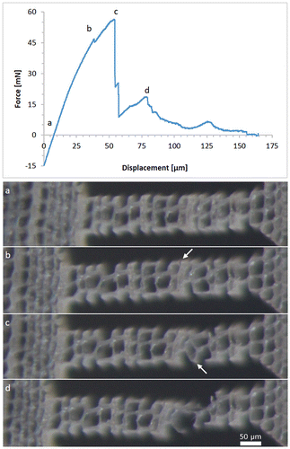 Figure 8. Force–displacement diagram for a tensile test in the tangential direction. The optical micrographs below show the sample corresponding to the loading stages (a)–(d); (a) unloaded specimen; white arrows in (b) indicate cell wall rupture; white arrow in (c) indicates the position of fibre debonding; (d) rupture of the remaining connection.