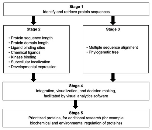 Figure 1 Overview of a set of bioinformatics and visual analytics methods used to prioritize protein sequences for further research.