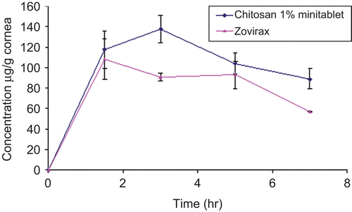 Figure 4.  Permeation of acyclovir into cornea of rabbit from chitosan 1% minitablet and from Zovirax® eye ointment. Error bars represent SD (n = 3).