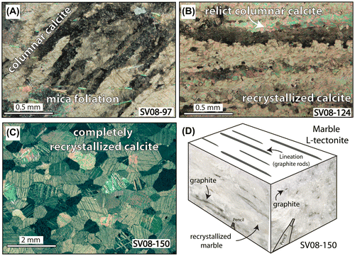 Figure 4. Photomicrographs showing representative microstructures in marble. (A) Columnar texture in marble showing calcite rods oblique to mica foliation. (B) Partially recrystallized columnar calcite. (C) Completely recrystallized calcite aggregate in graphitic marble (D) showing pencil shape graphite rods. A, B and C correspond to sampled 101, 124 and 150, respectively, in Figure 5.