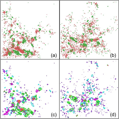 Figure 4. Final damage after 20 cascades (a) with electronic stopping and (b) with the 2T-MD model. Interstitials are shown in green and vacancies in orange. (c) and (d) show the dislocation network formed in each irradiation model, calculated with Ovito software [Citation24]. The green color corresponds to Shockley dislocations, the turquoise to Frank, the magenta to stair-rod type, the yellow to Hirth and the blue to perfect dislocations. In these figures, the defect clusters are shown in purple. Some SFTs and partials SFTs are shown in orange.