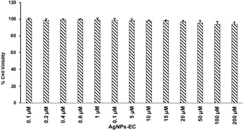 Figure 3 Effects of AgNPs-EC on % viability of MCF-7. Cell viability of MCF-7 cells treated with a concentration of AgNPs-EC (0.1–200 μM), incubation for 24 h, and then cytotoxicity examined using the MTT assay.