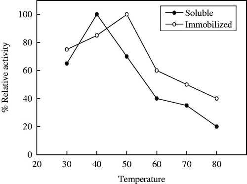 Figure 7. Optimum temperature of soluble and immobilized T. harazianum α-amylase on PPyAgNp/Fe3O4-nanocomposite. Each point represents the average of two experiments.