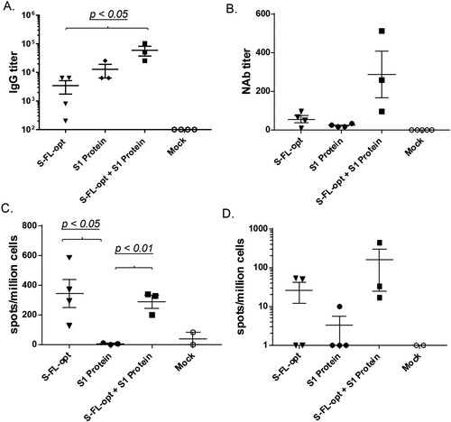 Figure 4. Non-human primate immunogenicity and protection study. Animals were immunized three times at Weeks 0, 2 and 8 by intramuscular needle inoculations. Peak level (2 weeks after the last immunization) S-specific IgG titers (A), NAb responses (B) against wild type SARS-CoV-2 virus by CPE assay and S-specific IFN-γ (C) and S-specific- IL-4 (D) responses were measured.