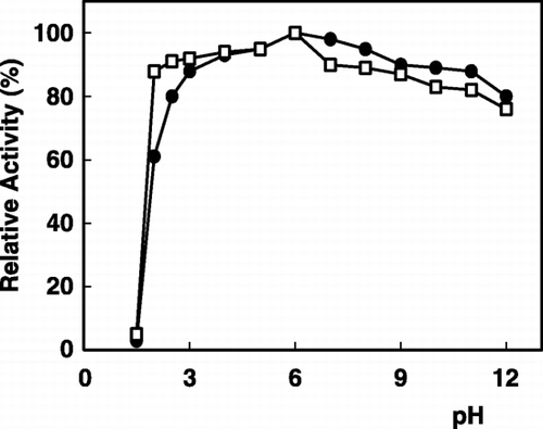 Figure 2. pH stability of α‐galactosidase: (•); free enzyme, (□); immobilized enzyme.