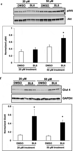 Figure 4. Continued