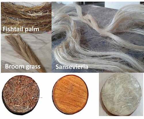 Figure 2. Extracted fibers and specimens for measurement of thermal conductivity.