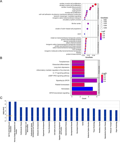 Figure 3 The enrichment analysis results of mRNA in the ceRNA network. (A) The CC terms and, top 10 BP and MF terms. (B) The enriched KEGG pathways and Reactome pathways. (C) The top 20 disease and function terms enriched by mRNA in the ceRNA network.