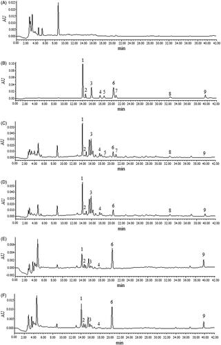 Figure 1. The HPLC fingerprints of various samples. A: GAM; B: references in methanol; C: AEOF in GAM; D: intestinal bacterial transformed AEOF in GAM; E: intestinal bacterial transformed AEOF transported by Caco-2 cell monolayers; F: intestinal bacterial transformed AEOF transported by everted gut sacs. 1: 2"-O-β-L-galactopyranosylorientin; 2: trolline; 3: orientin; 4: vitexin; 5: isoquercetin; 6: veratric acid; 7: trollioside; 8: quercetin; 9: proglobeflowery acid.