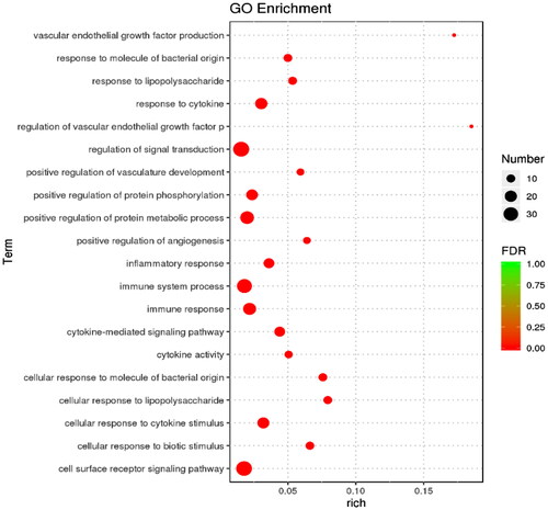 Figure 6. Bubble diagram of GO enrichment analysis. The size of the dots indicates the number of genes in the GO term, and different colors indicate different levels of significance.
