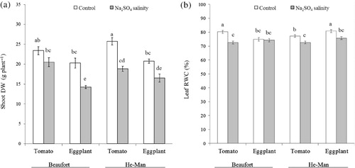 Figure 1. Effects of scion, rootstock and salinity on shoot DW (a) and leaf relative water content (RWC) (b). Vertical bars represent standard errors of means (n = 3); in each bar, values followed by different letters differ significantly at P = 0.05 (SNK test).