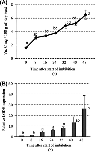 Fig. 3. Time-course changes in Vitamin C and related genes after imbibition.Notes: (A) Concentration of vitamin C; (B) Gene expression of ascorbate synthesizing enzyme l-galactono-1,4-lactone dehydrogenase (LGDH).
