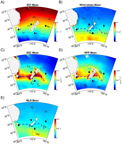 Figure 6. Mean fields computed from 2002 to 2018. A, Sea surface temperature (SST); B, Wind stress magnitude; C, Sea surface chlorophyll (SSC); D, Net primary production estimated from the Vertically Generalized Production Model (VGPM); E, Mixed layer depth (MLD). Four representative locations are labelled 1 to 4. The dashed lines indicate maxima in SSC along the Subtropical Front.