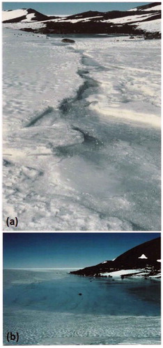 Figure 3. (a) Snow/ice melting and (b) small pond at PH on 5 December 1997 (photographs by Dr Gino Casassa).