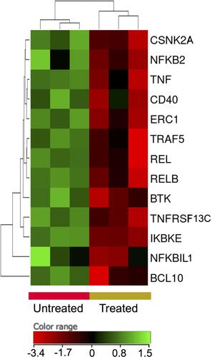 Figure 9 Expression profile of nuclear factor kappa B signaling genes. Hierarchical cluster analysis with heatmap presentation were constructed for the genes (FC ≥1.5 with p≤0.05 and corrected p≤0.1) in ZnO NPs-treated DLBCL cells compared with untreated DLBCL cells. The color range represents the normalized signal value of probes (log2 transformation and 75 percentile shift normalization).