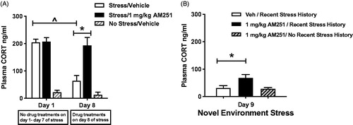 Figure 3. Low dose CB1 receptor antagonist AM251 (1 mg/kg) pretreatment disrupts the expression of HPA axis habituation. Test of CB1 receptor involvement in heterotypic stressor sensitization. (A) Rats (n = 9/group) were exposed to daily loud noise stress without drug treatment (30 min/day, 95 dB). A group of control rats (n = 3) received similar handling but were not exposed to noise stress during the first 8 days, so serve as a control for day 9 testing (n = 3) included for day 9 control group. Repeated measures two-way ANOVA indicates that pretreatment with 1.0 mg/kg AM251 before the 8th loud noise exposure completely prevented expression of a habituated HPA axis response. Vehicle-treated controls display robust habituation of plasma CORT response to the 8th loud noise exposure, compared to the 1st exposure (^p < 0.001, post hoc Bonferroni mct). 1 mg/kg AM251 treatment results in significantly higher plasma CORT response to the 8th loud noise exposure, compared to vehicle controls (*p < 0.001, post hoc Bonferroni mct). (B) Heterotypic stressor sensitization test: After 8 days of loud noise stress, rats were exposed to 15 minutes of novel environment stress on day 9. 1 mg/kg AM251 treatment significantly increased plasma CORT levels compared to vehicle-treated rats with the same stress history (*p < 0.05, post hoc Bonferroni mct). A lack of facilitating effect on plasma CORT response to 1.0 mg/kg AM251 was observed in control rats without recent stress history when compared to their previous non-stress values or to vehicle treated rats with repeated stress history. However, the difference between the two 1.0 mg/kg-treated groups failed to reach significance (p > 0.05, post hoc Bonferroni mct).