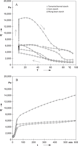 FIGURE 5 (A) Changes in G′ for starches during cooling, holding at 10°C for 10 h and heating; (B) Changes in G′ during holding at 10°C for 10 h for starches.