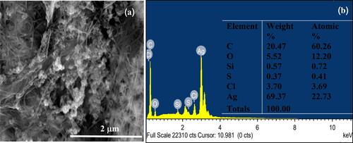 Figure 8. FE-SEM and EDX analyses of BC-AgNP nanocomposites. Figure 8 (a) shows FE-SEM imagery of BC-AgNP nanocomposites. Figure 8 (b) gives the Energy Dispersive X-ray spectrum of BC-AgNP nanocomposites and depicts the elemental components in the BC-AgNP nanocomposites.