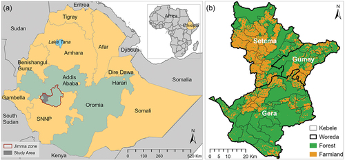 Figure 1. (a) the study area in Jimma Zone (grey), Oromia region (green grey) within Ethiopia (other regions are tan-colored); (b) the district boundaries (woredas; delimited by a thick black line and labelled in white) and lower administrative boundaries (kebeles; thin black lines) in the study area. The underlying land cover map illustrates the distribution of forest and farmland (adapted from Duguma et al. Citation2022).