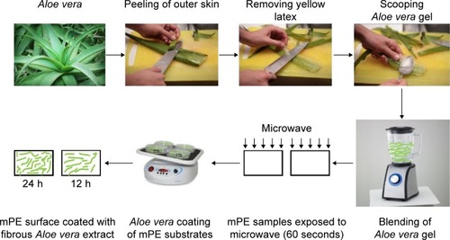 Figure 1 Steps involved in coating of Aloe vera extract on mPE samples.Abbreviation: mPE, metallocene polyethylene.