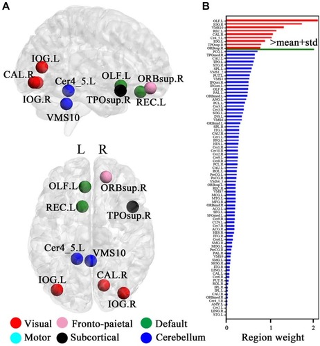 Figure 5 Regional importance. (A) The most discriminating brain regions formed by the top nine brain regions based on importance. (B) Regional importance is displayed by bars. The magenta bars indicate the top discriminative regions whose discriminative powers are one standard deviation greater than the mean of powers of all discriminative regions. X- and y-axis labels represent the brain regions and regional weights, respectively.