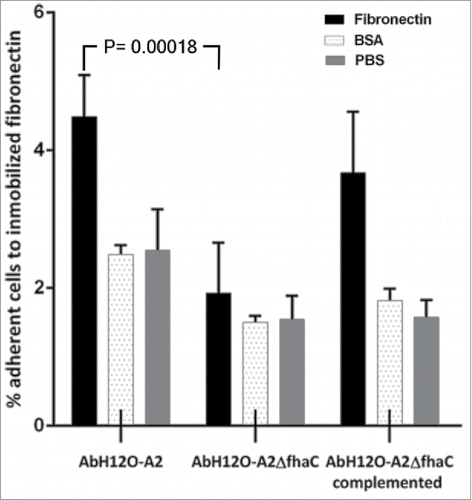 Figure 6. Binding of A. baumannii AbH12O-A2, the AbH12O-A2ΔfhaC and the AbH12O-A2ΔfhaC complemented strains to immobilized fibronectin after a 3-h incubation. Dotted bars indicate adherent bacteria to wells coated with BSA. Filled bars indicate adherent bacteria to wells coated with fibronectin. Shaded bars indicate adherent bacteria to uncoated wells. T-student test were perfomed. The standard deviation is indicated by bars. Four independent replicates were done.