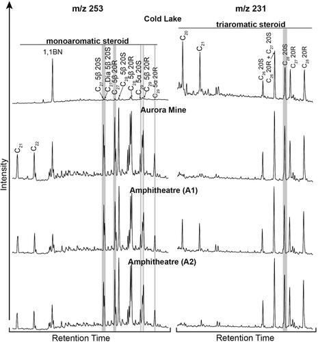 Figure 4. m/z 253 and m/z 231 ion chromatograms of the aromatic hydrocarbon fractions of the Alberta Oil Sands samples showing the aromatic steroid distributions. The grey shading highlights the key compounds used to calculate the diagnostic ratios in Table 3.