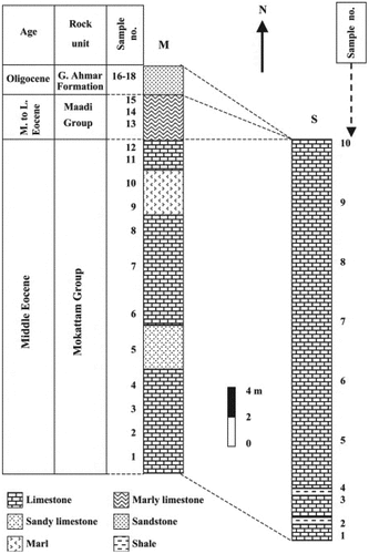 Figure 15. Mokattam formation geology (Elewa, Citation2004).