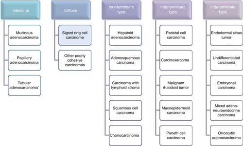 Figure 1 WHO classification of all types of gastric tumors, including signet ring cell carcinoma.
