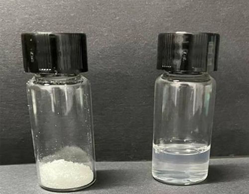 Figure 6 Appearance of freeze-dried powder and reconstituted suspension of DTX-BSA-NPs. (Left: freeze-dried powder; Right: reconstituted suspension).