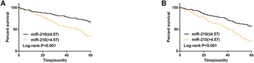 Figure 4 The correlation of the 5-year OS and DFS of colon carcinoma patients with hepatic metastasis with miR-210. (A) High-level miR-210 was associated with lower 5-year OS in patients with liver metastases of colon carcinoma. (B) High-level miR-210 was associated with lower 5-year DFS in patients with liver metastases of colon carcinoma.
