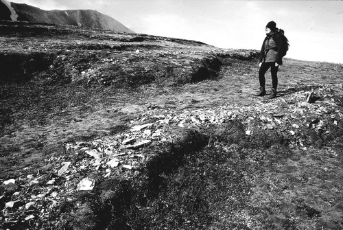 Figure 30 Active solifluction sheets in the North-West Highlands. The steep fronts (risers) are characteristic of present activity