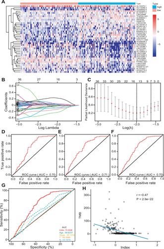 Figure 4 Development of a multi-lncRNAs based classifier. (A) The expression heat map of the top 20 down- and up-regulated differently expressed lncRNAs between low- and high-TMB groups. (B and C) Optimal lncRNAs selection in the LASSO regression model. (D–F) Receiver operating characteristic analyses in the training, validation, and pooled set. (G) Receiver operating characteristic analyses of multi-lncRNAs based classifier index and clinical characteristics. (H) The correlation between the classifier index and TMB.