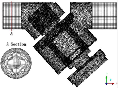 Figure 7. The grid of computational domain.