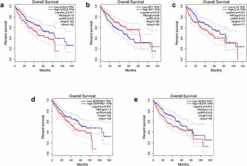 Figure 4. Overall survival analysis of the expression level of IGF1, IL1A, CXCL8, VEGFA, and SERPINE1 in hepatocellular carcinoma on GEPIA website. CXCL8 (a), IGF1 (b), IL1A (c), SERPINE1 (d), and VEGFA (e)