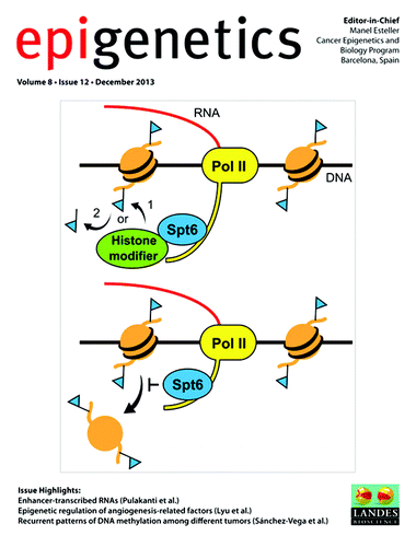 Figure 4. Cover of Epigenetics Volume 8, Issue 12.